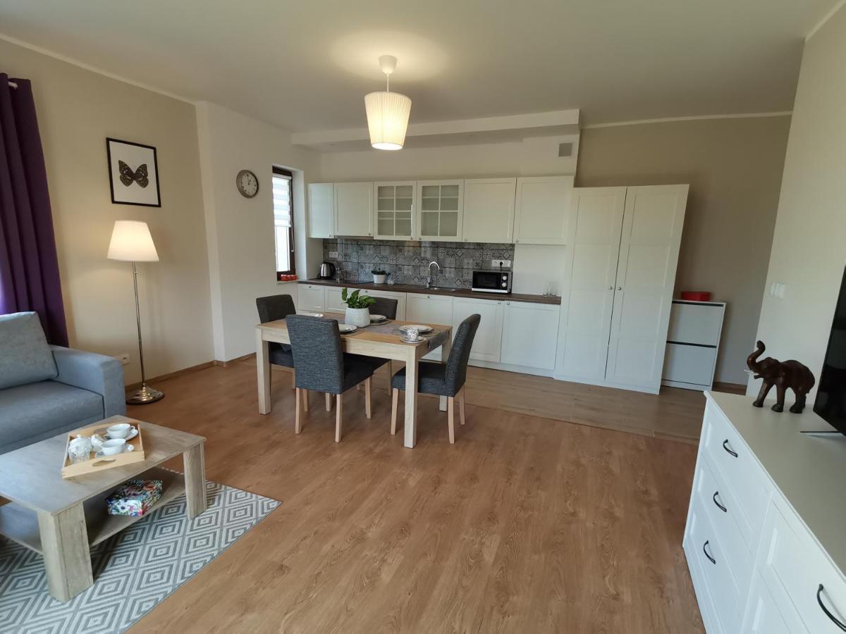 Komfort Apartament Nałęczów Extérieur photo